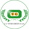 cropped-Logo-circular-Vivid-Green-para-instagram-3.png